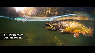 TRUSCEND Top Water Fishing Lures with BKK Hooks