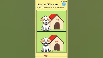 All around Quizz | Spot the Differences 027 Test Your Observation Skills #allaroundquizz #skills