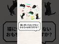 Q:猫に使ってはいけないおもちゃありますか? #猫 #猫のいる暮らし #ねこ