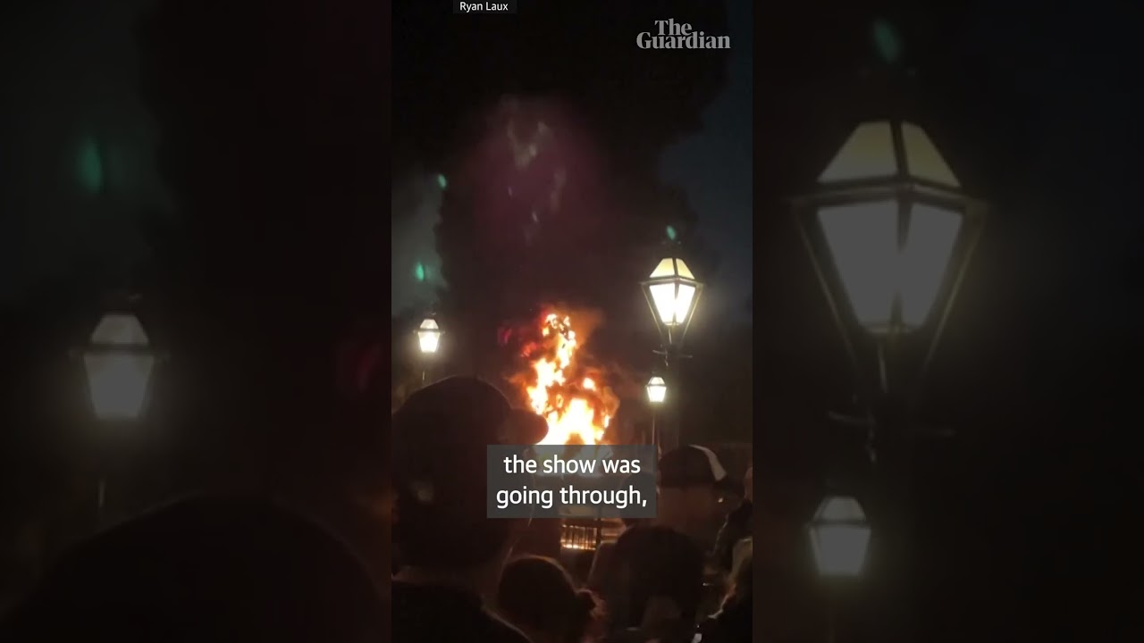 Disney dragon catches fire during Disneyland show in California