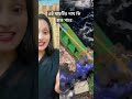 এই মাছটির নাম কি হতে পারে ? #shots #unfrezzmyaccount #emnusaiba #reels #tiktok #reel