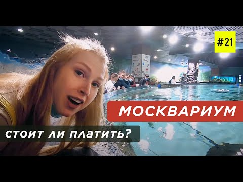 Video: VDNKh-da Moskva Okeanarium: təsvir, iş saatları və ziyarətçi rəyləri