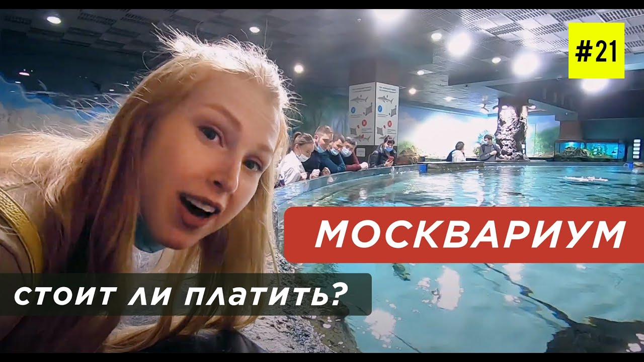 МОСКВАРИУМ НА ВДНХ (в Что посмотреть и Сколько Стоит) - YouTube