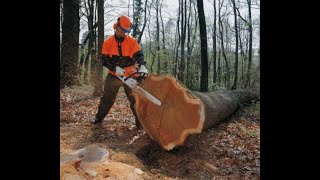 Лучший способ укоротить цепь бензопилы  быстро.