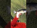 Catching BASS in FREEZING COLD TEMPERATURES!!! #fish #fishing #bassfishing #youtubeshorts #shorts