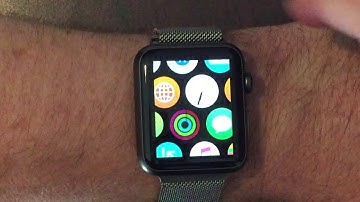 Shaun Meehan   WGU c464