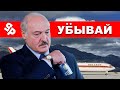 Лукашенко пешка в руках Путина / Реальная Беларусь