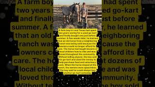 FARM BOY SELLS HIS GO KART TO SAVE A HORSE 🐎❤️