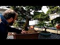 Painting edo at the arnold arboretum bonsai collection tour