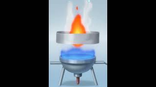 sodium and Mg react with water