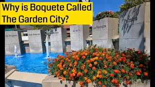 Getting To Know Boquete First Day Walking Tour - Things To Do In Boquete, Panama