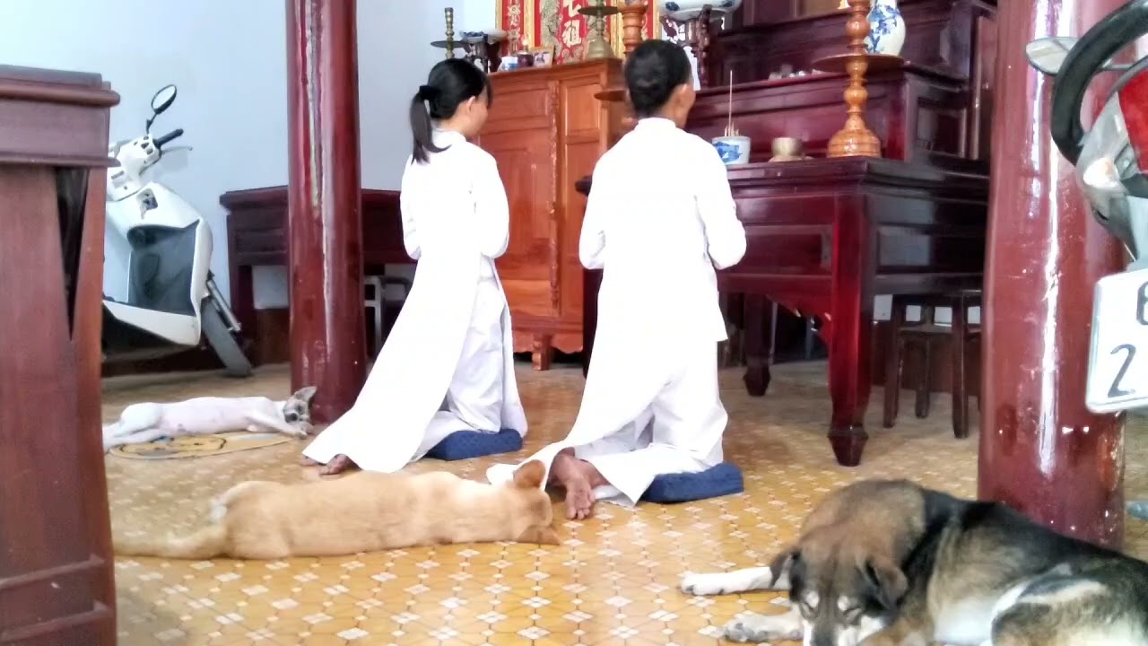 Cúng tứ thời, ĐẠI ĐẠO TAM KỲ PHỔ ĐỘ #daidaotamkyphodo #daocaodai