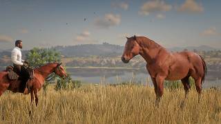 Arthur Morgan Taming a Ginormous Stunning Wild Mare (MODDED) | RDR2