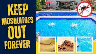 4 Easy Ways to Protect Your Pool  Backyard from Mosquitoes Wealth