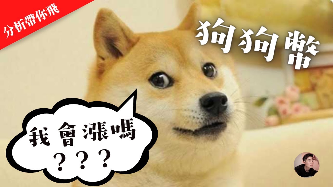 DOGE 狗狗幣會漲嗎？狗狗幣走勢分析 接下來就是關鍵走勢 是漲是跌就看這一次了！【分析帶你飛】| Nicky帶你飛【Winnance】