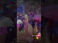 Blossoming Future Flowers Enjoying With Rain