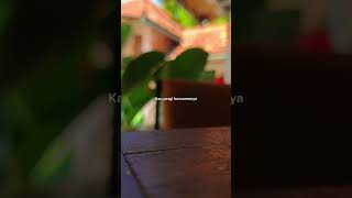 Rossa  Hati Yang Kau Sakiti rossahatiyangkausakiti liriklagu rossa25shiningyears hereiam