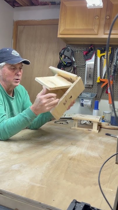 Gilbertson Bluebird Feeder - YouTube