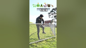 How Animals Get Over a Fence (With Emojis) 😂