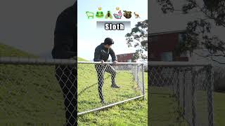 How Animals Get Over A Fence (With Emojis) 😂