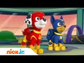 Ratowanie Apollo Super Psa! | Psi Patrol | Nick Jr. Polska