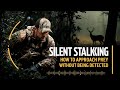 Silent Stalking: How to Approach Prey Without Being Detected