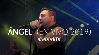 Video thumbnail of "Elefante - Angel (En Vivo)"