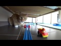 Plarail from Japan/プラレール 猫初めての反応