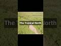 The Tropical North of Australia: Rainforests, Reefs & Wild Adventures 🌴🐠
