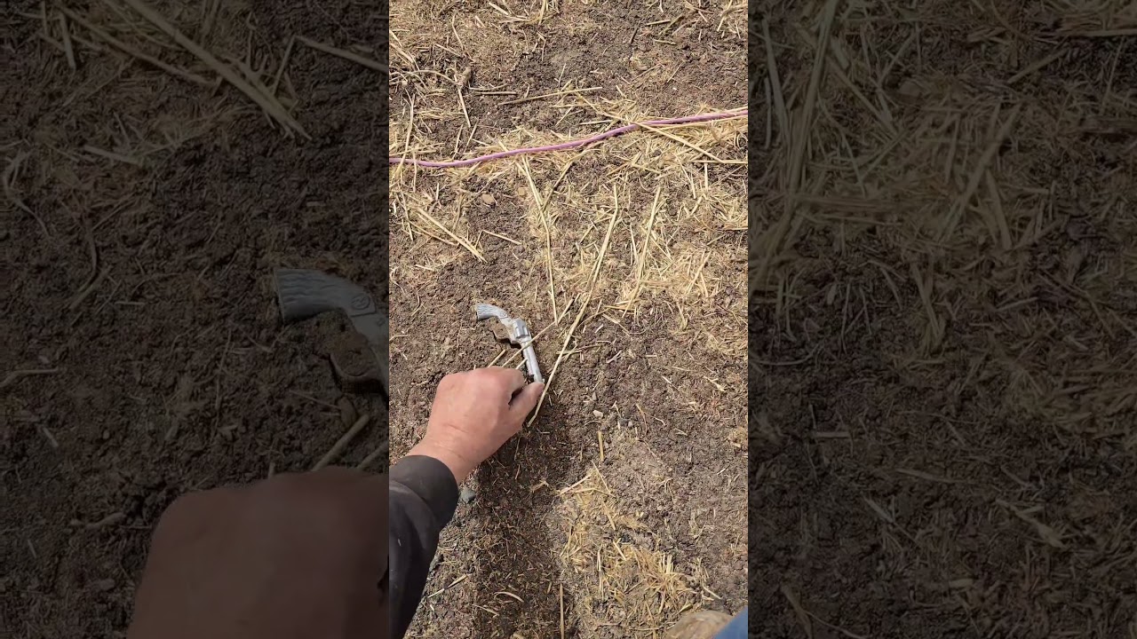 Found a relic of the cowboys and Indians battle.