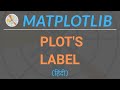 Matplotlib Python Tutorial in Hindi | Matplotlib Labels | #03