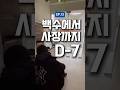 EP13) 백수에서 사장까지 D-7 #도전 #청년창업 #shorts