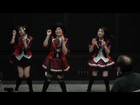 【VAN48】ラブラドール・レトリバー【踊ってみた】