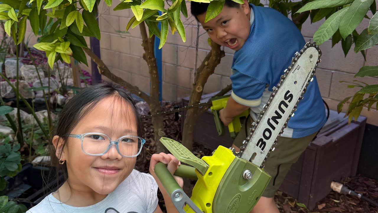 Khám Phá Cách Thay Cây