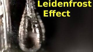 Leidenfrost Effect in Slow Motion