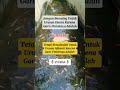 Bersainglah ke syurga #Quotes #Trending #Motivation #Shorts