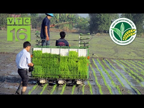 Video Nông nghiệp 4.0: Cấy lúa bằng máy, tiết kiệm đủ thứ |... - YouTube