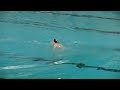 2019 CWG - Artistic Swimming - Solo Free Preliminaries