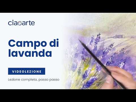 Campo di lavanda