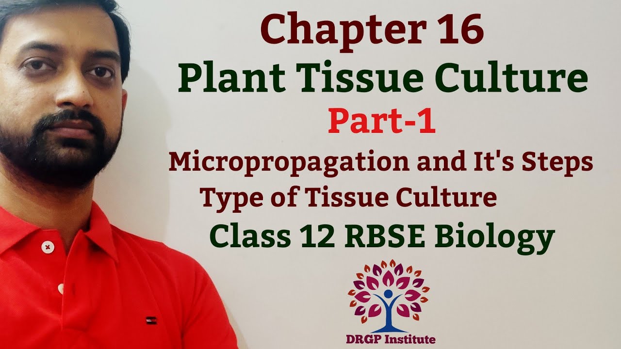 Class 12 Chapter 16: Plant Tissue Culture | Micropropagation Step | Types of Tissue Culture | Part-1