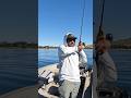 Largemouth Bass Fishing Part 2 #fishing #bassfishing #catchandrelease #fish #lake  #largemouthbass