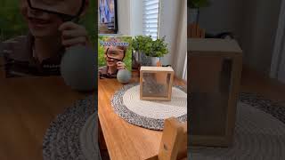 Simple science activity #smallspace  #toddleractivities #earlylearning
