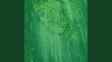 Superlative Ambiance for Morning Routines