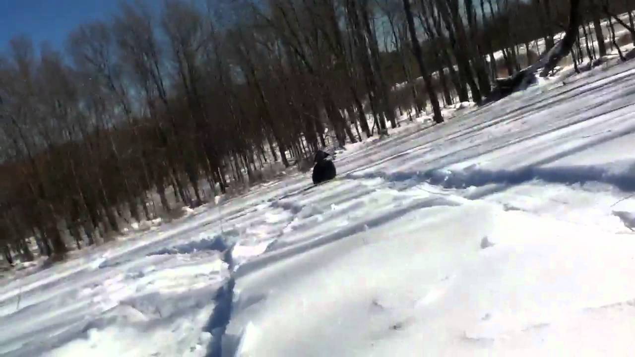 Snow Fail 3 - YouTube