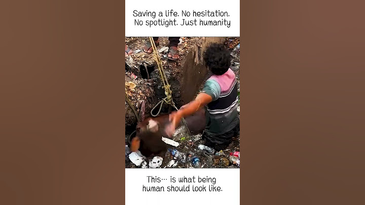 He Climbed into Trash to Save a Life 🐾 | True Hero #Shorts