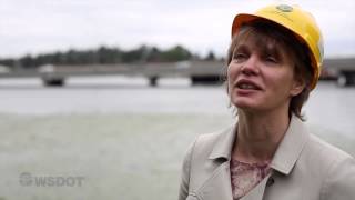 SR 520 - Project overview - West Approach Bridge North Project - July 2014