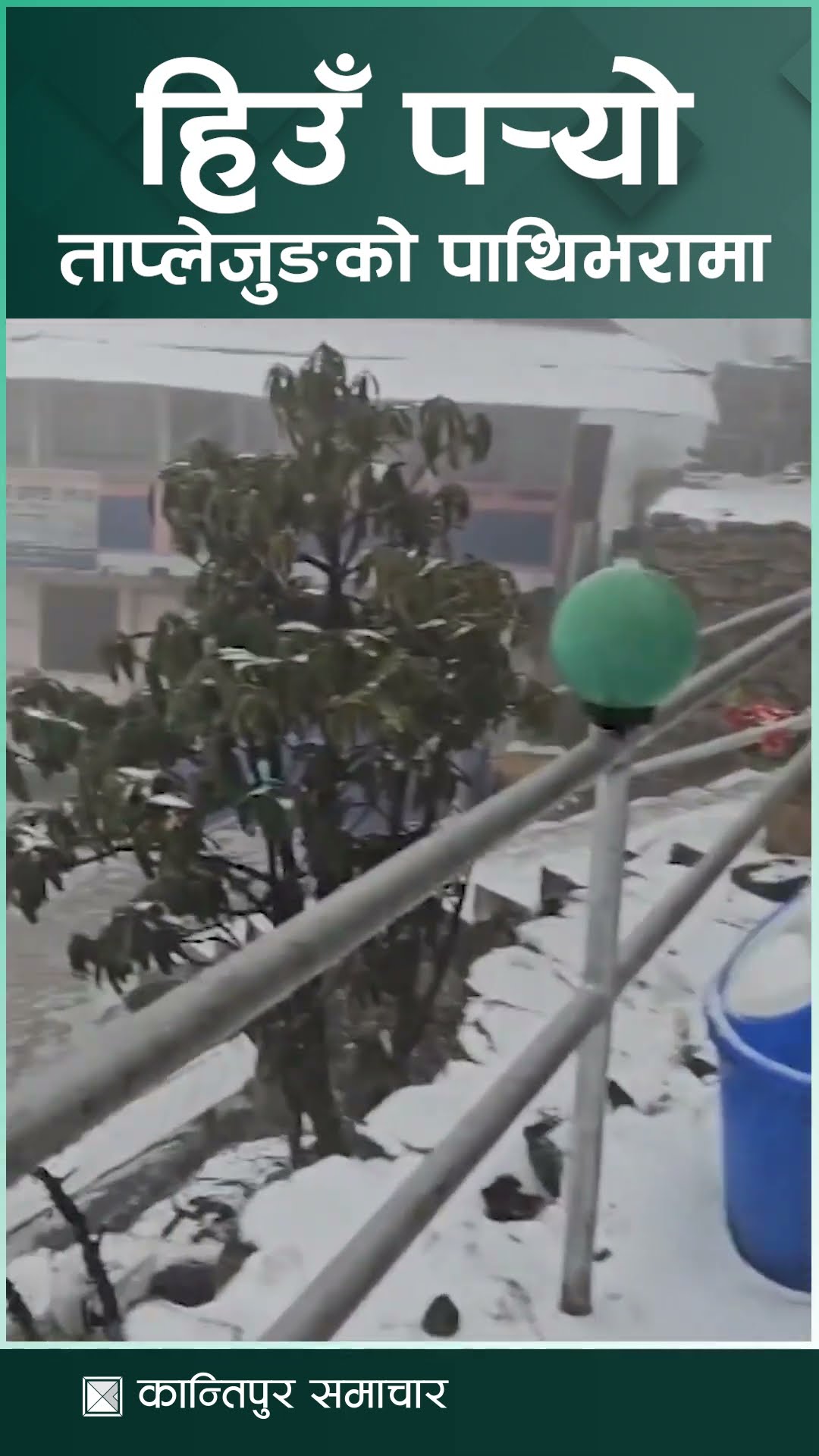 फागुन लागेपछि पर्‍यो ताप्लेजुङको पाथीभरामा हिउँ ।