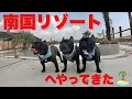 南国リゾートへやってきた【フレンチブルドッグ】