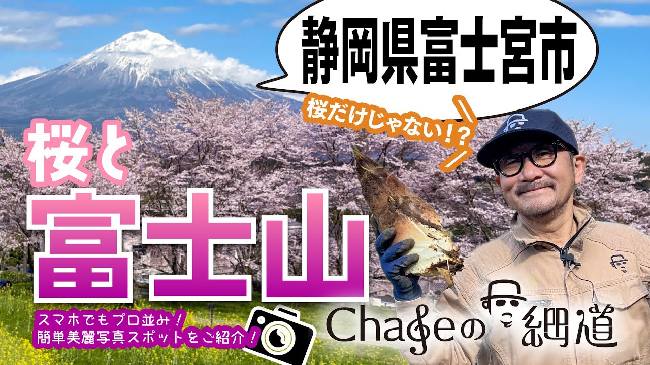 #17「桜と富士山」スマホでも簡単美麗撮影スポットをご紹介!  #Chage #mtfuji  #sakura #cherryblossom #fujinomiya #japan #桜 #富士山