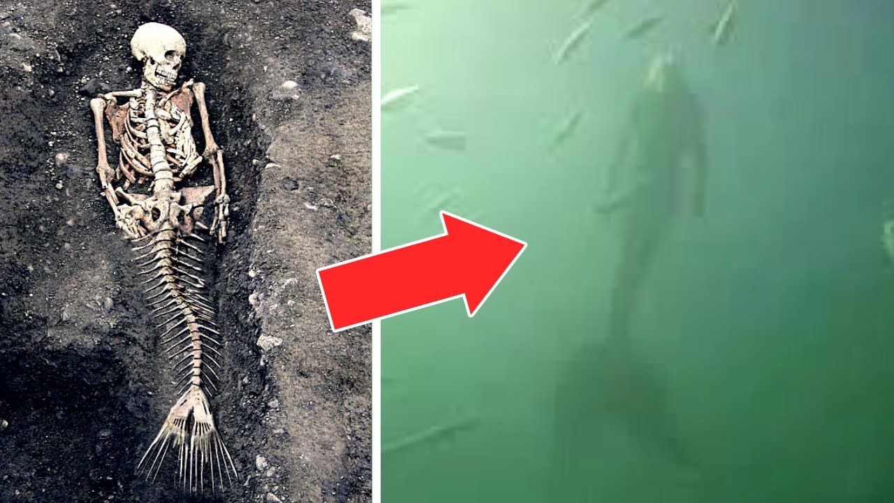 10 Mermaid Sightings You Won't Believe Are Real - YouTube